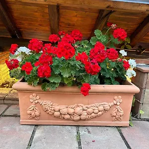 Del Sole Valverde (Sicily)